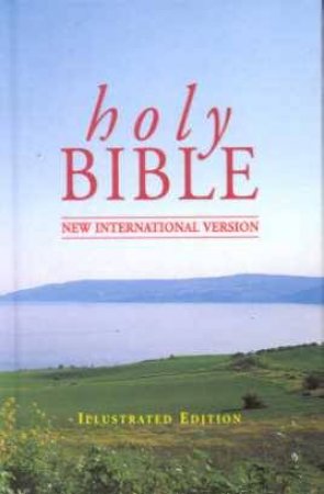 NIV Pocket Bible  Illustrated by Various