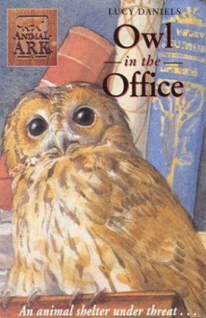 Owl In The Office by Lucy Daniels