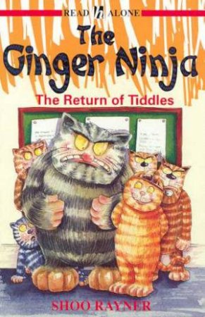 The Return Of Tiddles by Shoo Rayner