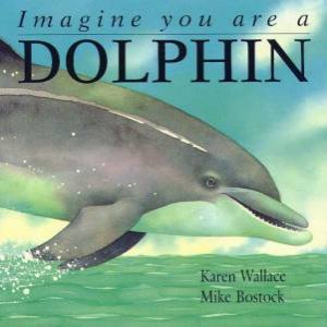 Imagine You Are A Dolphin by Karen Wallace