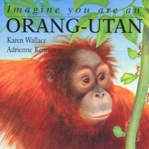 Imagine You Are An Orang-Utan by Karen Wallace