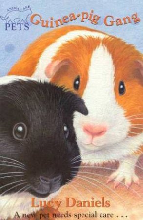 Guinea-Pig Gang by Lucy Daniels