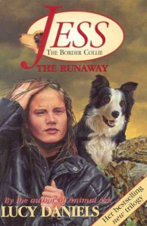 The Runaway by Lucy Daniels