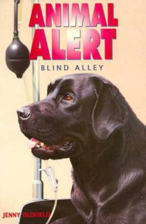 Blind Alley by Jenny Oldfield