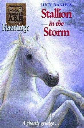 Stallion In A Storm by Lucy Daniels