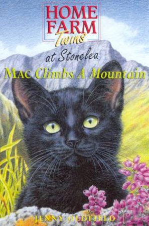 Mac Climbs A Mountain by Jenny Oldfield