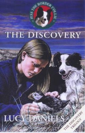 The Discovery by Lucy Daniels