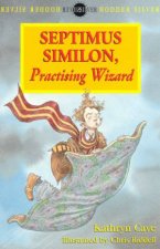 Hodder Silver Septimus Similon Practising Wizard