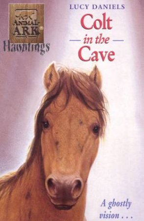 Colt In The Cave by Lucy Daniels