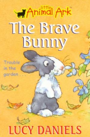 Brave Bunny by Lucy Daniels