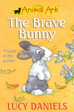 Brave Bunny