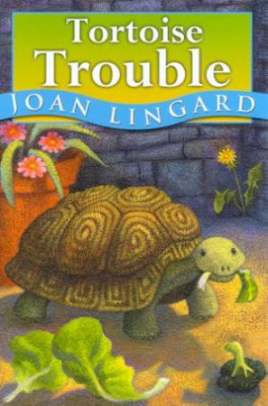 Hodder Story Book: Tortoise Trouble by Joan Lingard