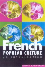 French Popular Culture An Introduction