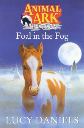 Foal In The Fog by Lucy Daniels