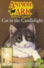 Cat In The Candlelight