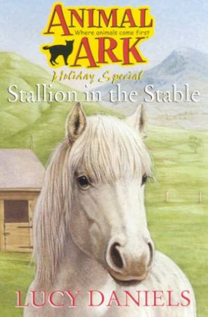 Stallion In The Stable by Lucy Daniels