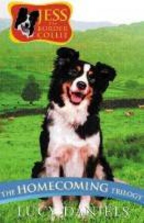 Jess The Border Collie: The Homecoming Trilogy by Lucy Daniels