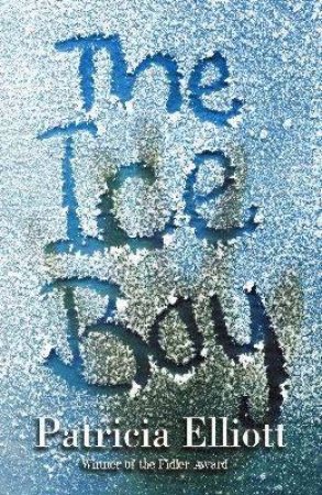 The Ice Boy by Patricia Elliott