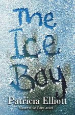 The Ice Boy