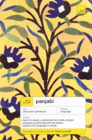 Teach Yourself Panjabi by Surjit S Kalra & Navteg K Purewal & Sue Tyson-Ward