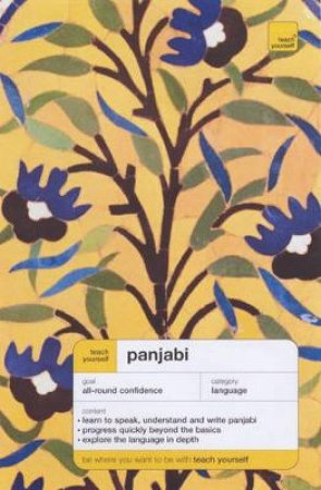 Teach Yourself Panjabi - Book & Cassette by Surjit S Kalra & Navteg K Purewal & Sue Tyson-Ward