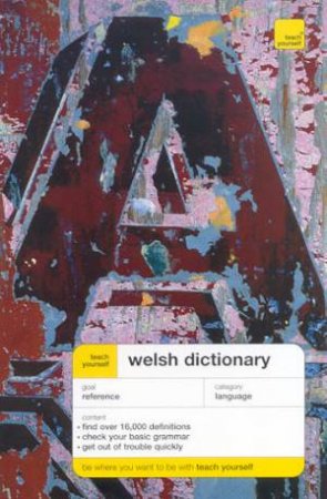 Teach Yourself Welsh Dictionary by Edwin C Lewis