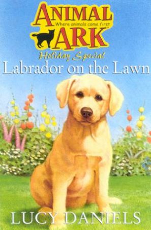 Labrador On The Lawn by Daniels Lucy