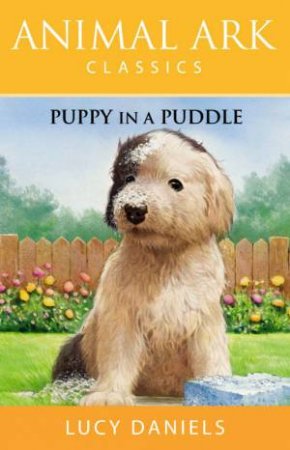 Animal Ark Classics: Puppy In A Puddle by Lucy Daniels