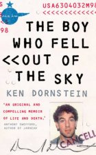 The Boy Who Fell Out Of The Sky