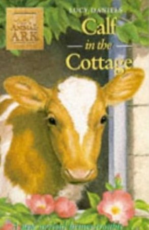 Calf In The Cottage by Lucy Daniels