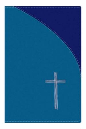 TNIV  Popular Blue Soft-Tone With Bible Guide by International Bible Society