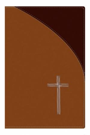 TNIV Personal Tan Soft-Tone Bible by International Bible Society