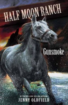 Half Moon Ranch: Gunsmoke by Jenny Oldfield