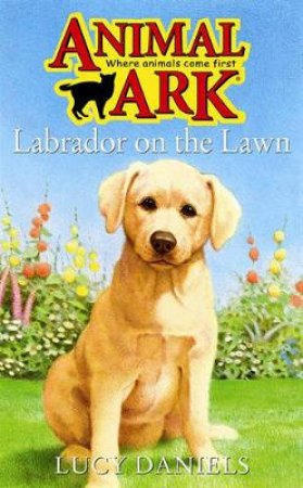 Labrador On The Lawn by Lucy Daniels