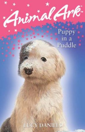 Animal Ark: Puppy In A Puddle by Lucy Daniels