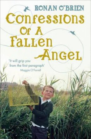 Confessions of a Fallen Angel by Ronan O'Brien