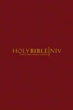 Holy Bible NIV Burgundy