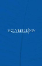 Holy Bible NIV Blue