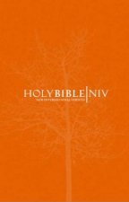 Holy Bible NIV