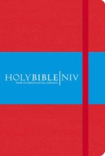 Holy Bible  NIV Red Pocket Notebook Bible