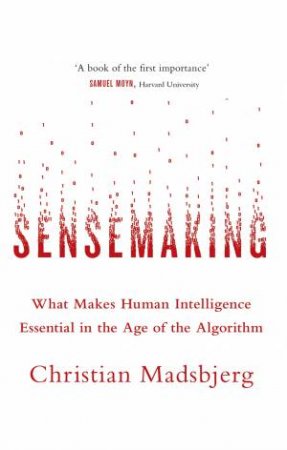 Sensemaking by Christian Madsbjerg