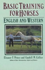 Basic Training For Horses