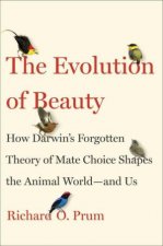 The Evolution Of Beauty How Darwins Forgotten Theory Of Mate Choice Shapes The Animal World  And Us