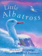 Little Albatross