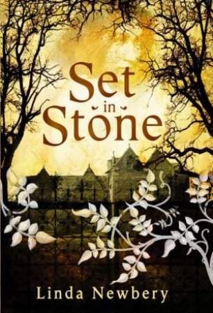 Set In Stone by Linda Newbery