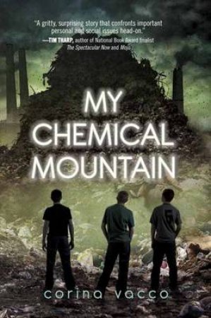 My Chemical Mountain by Corina Vacco