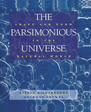 Parsimonious Universe H/C by Tromba Hildebrandt