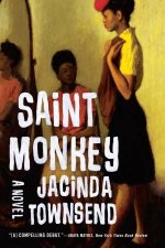 Saint Monkey a Novel