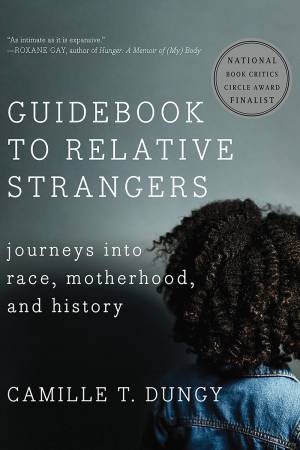 Guidebook To Relative Strangers Journeys Into Race, Motherhood, And History by Dungy