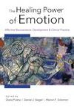 Healing Power of Emotion Affective Neuroscience Developmentand Clinical Practice